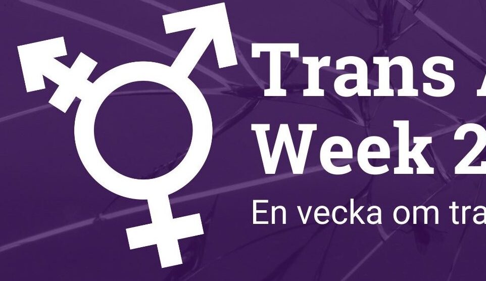 Trans Awareness Week cropped logo